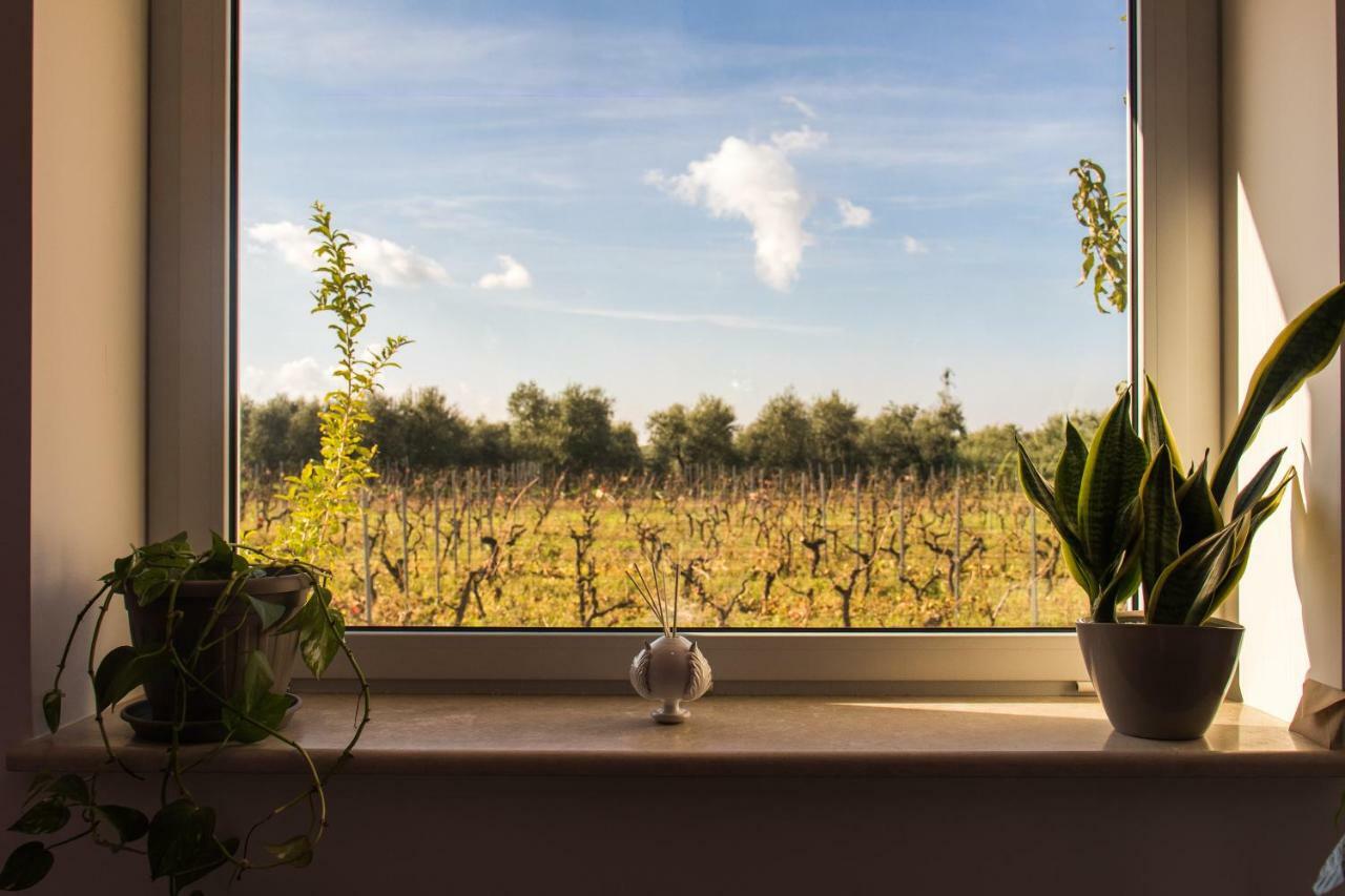 Tenuta Vigna Del Noce Κοράτο Εξωτερικό φωτογραφία